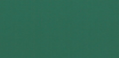 Gekleurd karton 270 gr 50 x 70 cm donkergroen 25 vel